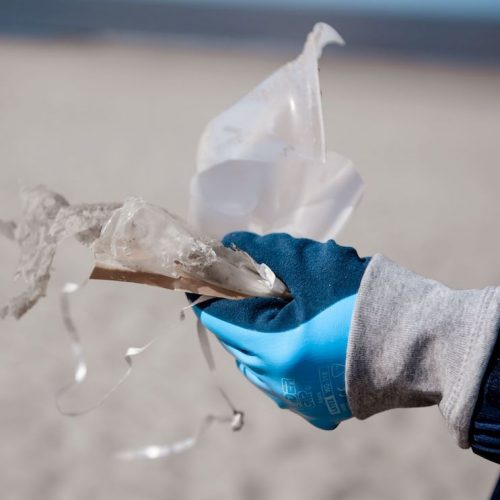 Auch größere Plastikabfälle mussten die freiwilligen Helfer am Strand vorfinden. Auch größere Plastikabfälle mussten die freiwilligen Helfer am Strand vorfinden.