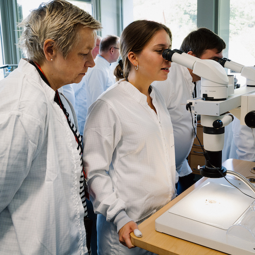 Das Datographenwerk unter dem Mikroskop weckt große Neugierde. Das Datographenwerk unter dem Mikroskop weckt große Neugierde.