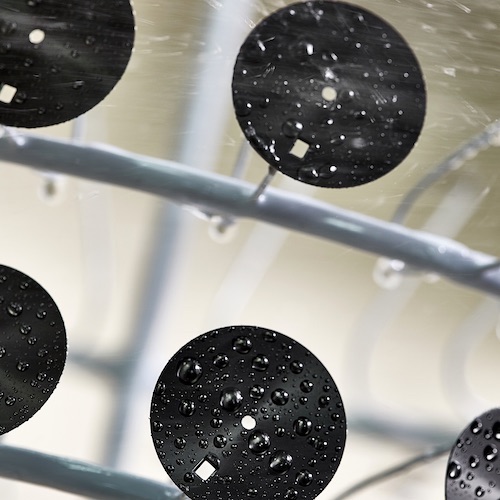 Die schwarz galvanisierten Zifferblätter werden gewaschen. Die schwarz galvanisierten Zifferblätter werden gewaschen.