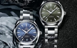 Omega Seamaster Aqua Terra Referenz 220.10.41.21.03.004 und 220.10.41.21.10.001