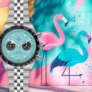 Mit der Farbe Türkis kreiert Tudor eine neue Flamingo-Spezies.