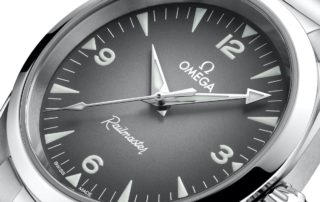 Omega Railmaster 38 graues Blatt