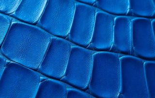 Alligatorleder