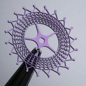 Das Hemmungsrad zeigt 20 Bilder pro Sekunde, die zwei Schriftzüge ergeben.