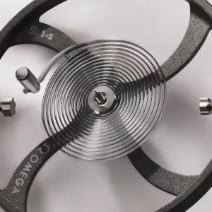 Die Si14‑Siliziumspirale ist Omegas eigene, aus Silizium gefertigte und 2008 vorgestellte Unruhfeder.