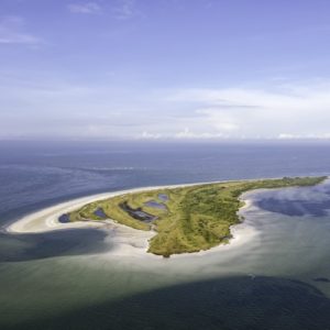 Seit 2024 engagiert sich Rolex mit seiner Initiative zum Schutz der Meere.